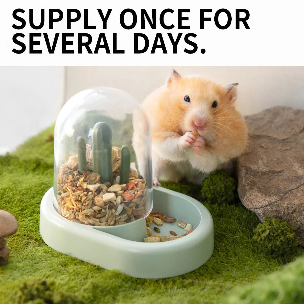 Hamster Automatic Feeder
