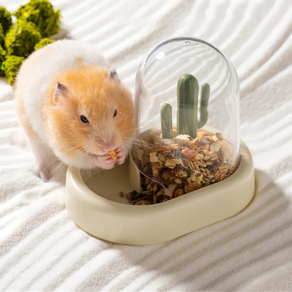 Hamster Automatic Feeder