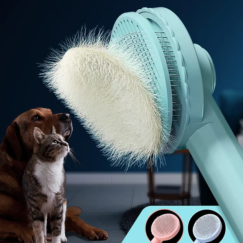 Brush Pet Grooming
